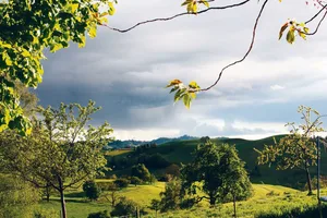 Das Bäregg-Forum zeigte die Stärken des Emmentals auf. Nun gelte es, auf diesen aufzubauen, vorhandene Synergien und vor allem die Marke Emmental zu nutzen, um die Betriebe vom Schatten in die Sonne des Erfolgs zu führen.