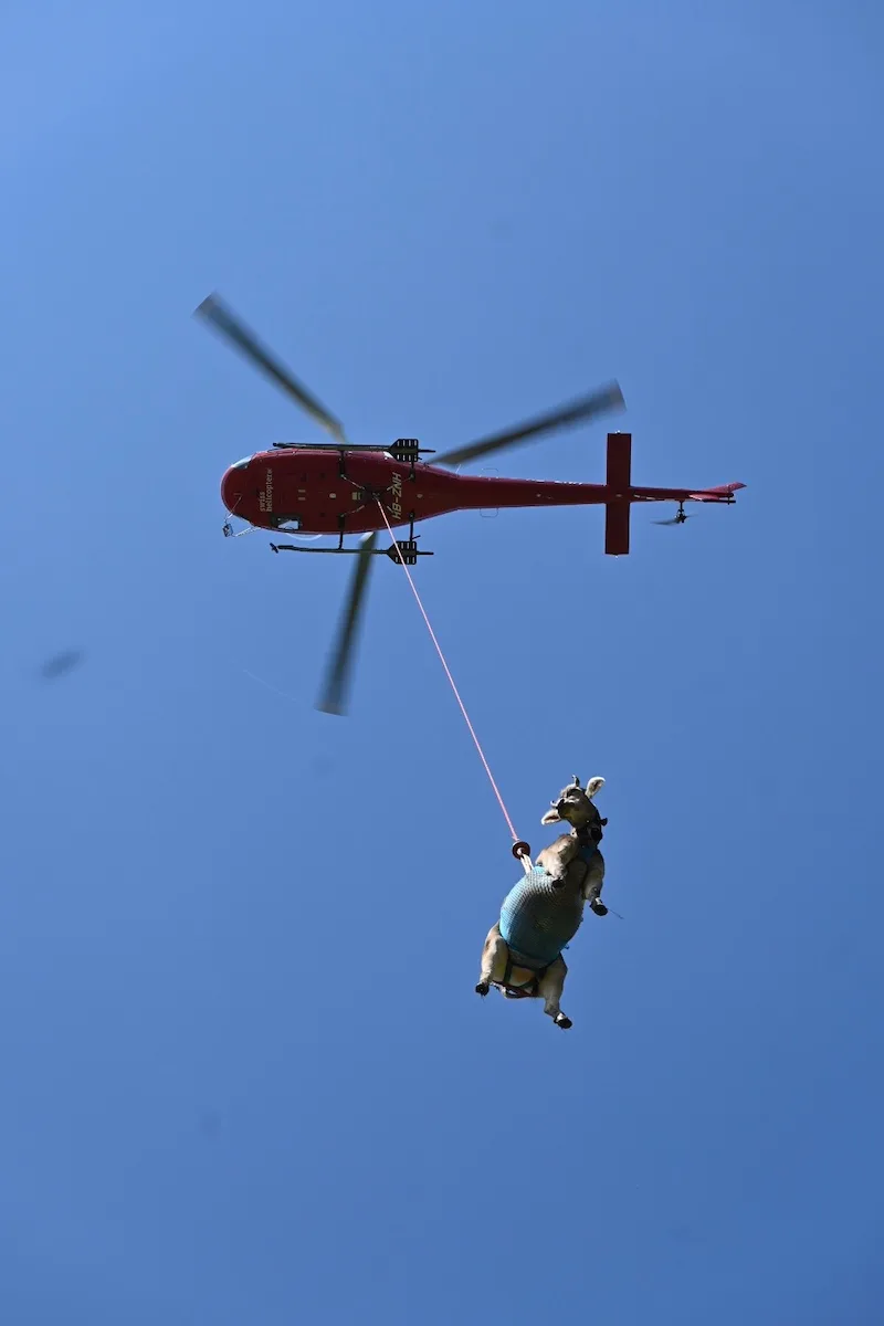 a338b60e35181f83c9d1aba8547d5b02fcc074e2 Völlig losgelöst von der Erde: Guschti Raika hebt ab zu ihrem ersten Helikopterflug. (Bild Jasmine Baumann)