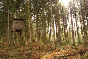 Die Urner Polizei beschlagnahmt ein illegal geschossenes Wildtier, Munition und Sprengstoff. (Bild Pixabay)