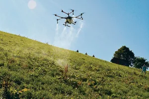 Ressourceneffizientes Digitalprojekt in den Kinderschuhen: Blackenspritzen mit Drohnen, hier ein Versuch mit Flächenbehandlung im Entlebuch im Jahr 2019.