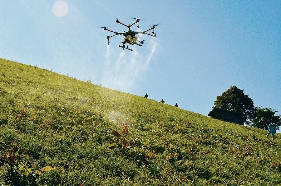 Ressourceneffizientes Digitalprojekt in den Kinderschuhen: Blackenspritzen mit Drohnen, hier ein Versuch mit Flächenbehandlung im Entlebuch im Jahr 2019.
