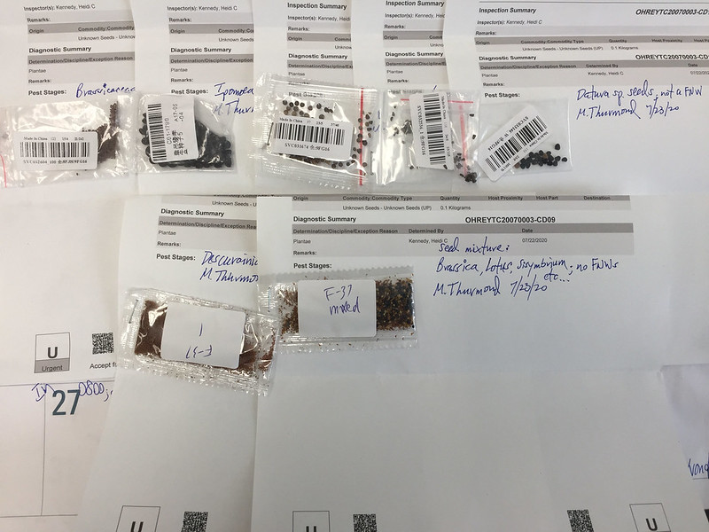 Die Päckchen enthalten verschiedene Pflanzensamen, die man derzeit zu identifizieren versucht. (Bild USDA)
