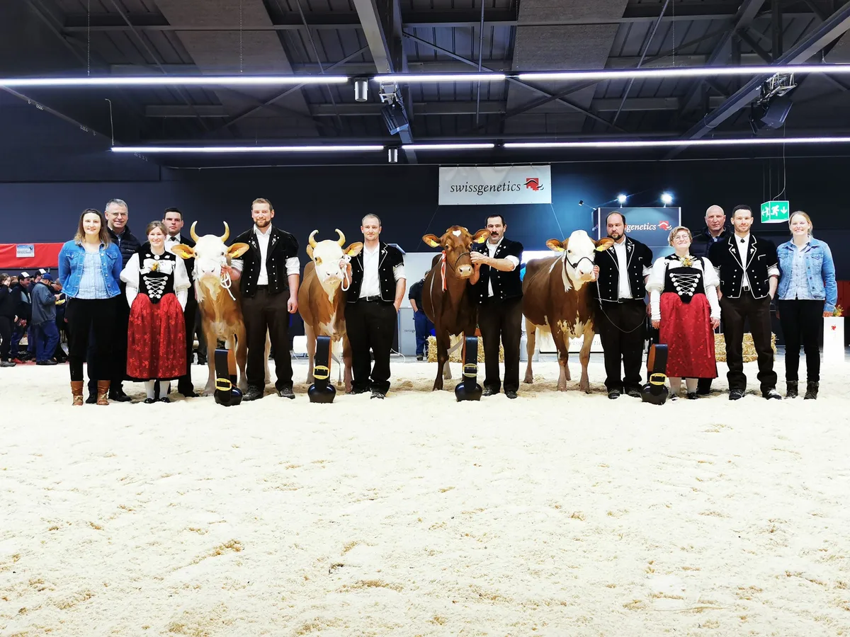 IMG_20230126_121933_1 Swissgenetics zeigte die Nachwuchshoffnungen der Rassen Simmental und Swiss Fleckvieh