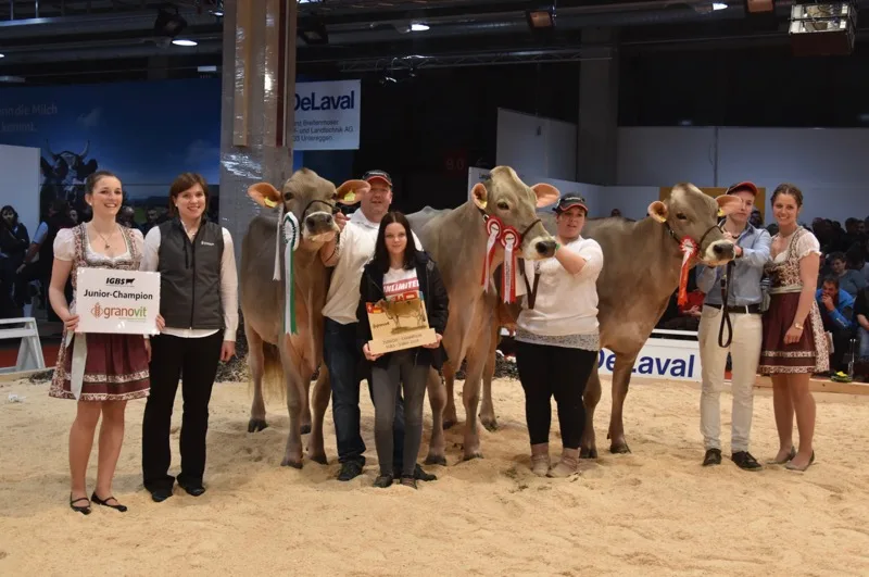 961cb40c60a0a5061ead69f740f68402cc52425d Junior Champion Plattenbach BS Blooming Bonanza, Vize H. U. Husers Blooming Palma und Honorable Mention Blooming Belinda. (Bilder Jasmine Baumann)