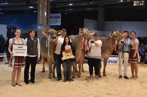 Junior Champion Plattenbach BS Blooming Bonanza, Vize H. U. Husers Blooming Palma und Honorable Mention Blooming Belinda. (Bilder Jasmine Baumann)