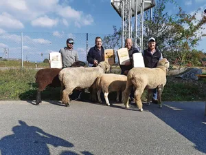 Die Rassensieger: (v. l. n. r.) Fabian Gloor, Walter Albrecht, Roland Humbel, Markus Rhiner.