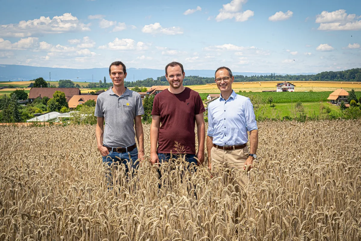 Migros_Bio-in-Umstellung Migros vermarktet bald Schweizer Bio-Weizen in Umstellung