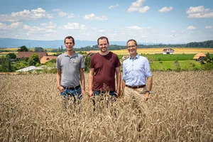 Christian Rytz, Geschäftsführer der Mühle Rytz, Martin Streit, Landwirt in Umstellung und Rolf Bernhard, Leiter Agronomie und Produktionssysteme beim Migros- Genossenschafts-Bund. (v. l.)