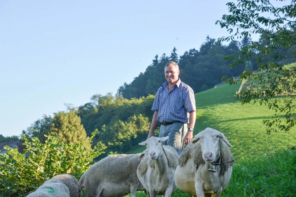 30027b658f06476e1579717bdf545b830ad54cbc Liess sich in Frankreich die Produktion von Schafmilchprodukten erklären: Landwirt Peter Hofstetter. (David Eppenberger)