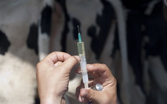 Die Umsätze mit Antiinfektiva ist in Deutschland 2015 insgesamt um 11,2 % auf 151 Mio Euro zurückgegangen. (Symbolbild Fotolia)