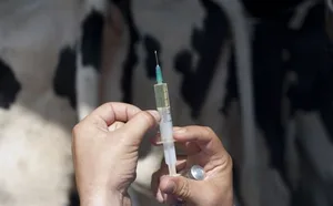 Die Umsätze mit Antiinfektiva ist in Deutschland 2015 insgesamt um 11,2 % auf 151 Mio Euro zurückgegangen. (Symbolbild Fotolia)