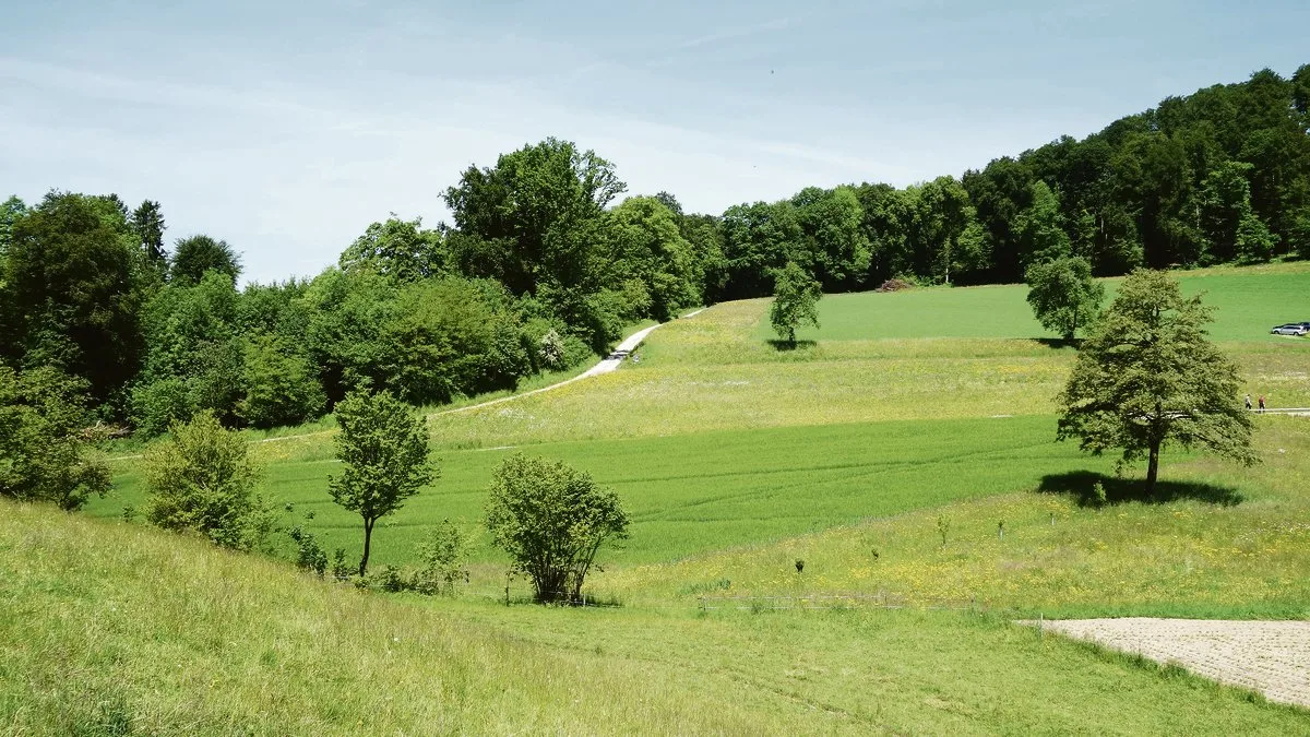 57ac4aa10c36c0b1f811187ca067d6d49549bbd5 Auch das Nebeneinander verschiedener Lebensraumtypen, wie extensive Wiesen, Weiden und Gehölze, ist wichtig für eine hohe Arteinvielfalt im Kulturland.(Bild nt)