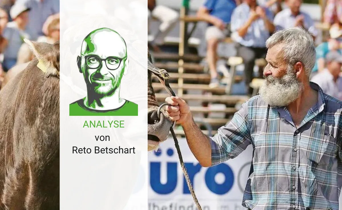 Artikel_Analyse_BauZ_BetschartVieh Auf das richtige Pferd, sprich den richtigen Stier, setzen