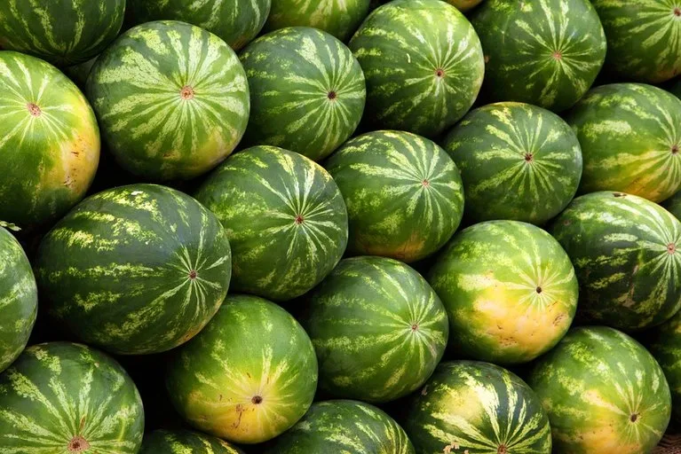 Chinesen essen fast 60 kg Melonen pro Jahr und Kopf. Ein lukrativer Markt für Brasilien. (Bild Pixabay)