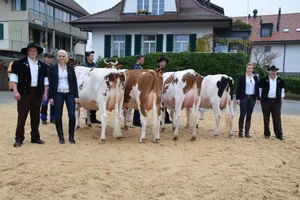 Die Siegertiere (v. l. n. r.). Ottilia (Senior-Schöneuter), Christian Burren, Gasel; Incas Ladina (Senior Miss), Ernst Badertscher, Bremgarten b. Bern; Schurtis Armani Glamour (Junior Miss), BG Herren und Schurtenberger, Bern; Lindachwald Minico Ladina (Junior Schöneuter), Christian Burkhalter, Kirchlindach.
