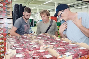 Am Erfahrungsaustausch nutzten Obstbau-Berater und Produzenten die Gelegenheit für eine Besichtigung des neuen Beerenzentrums der Tobi Seeobst AG in Egnach.