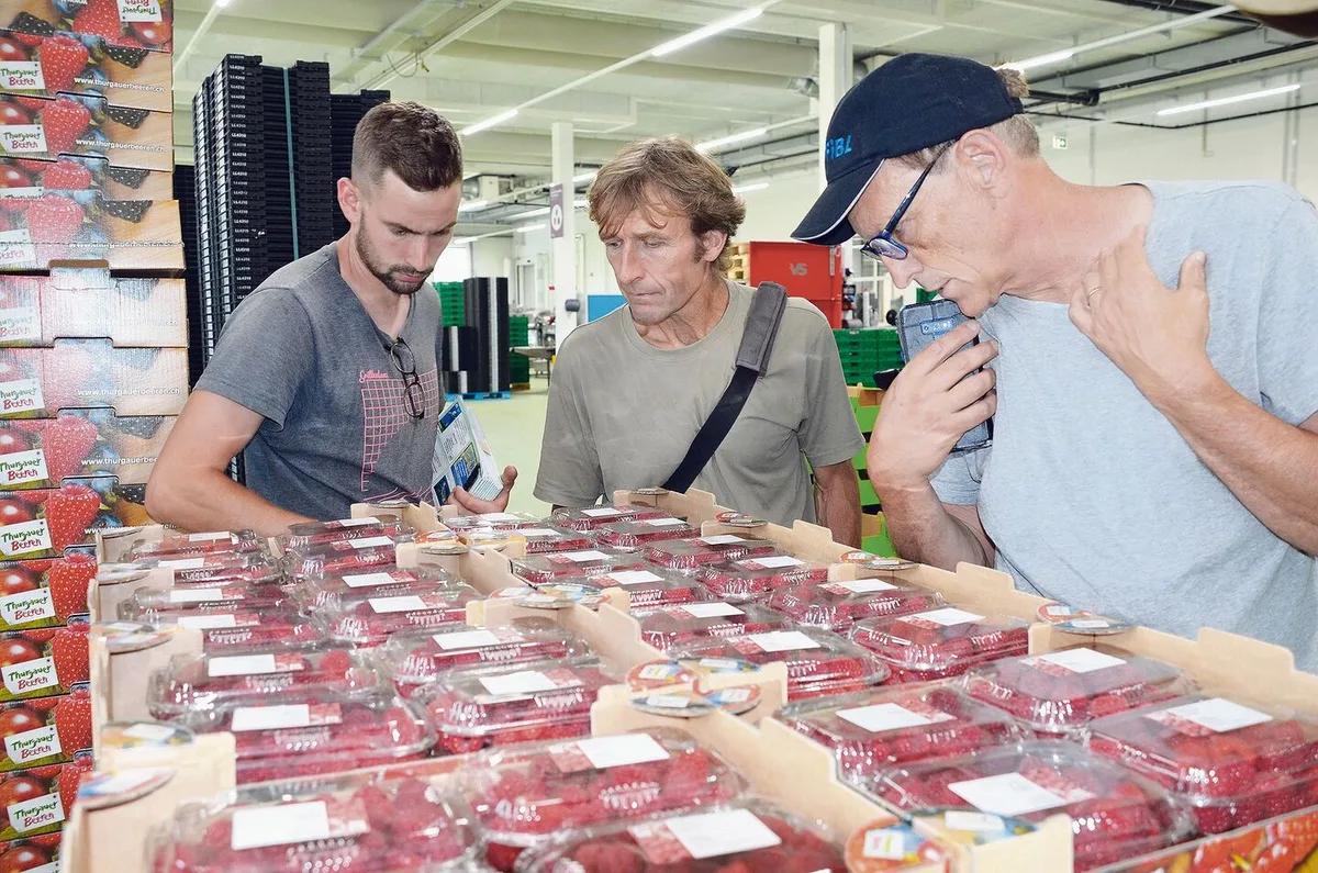 728eef62e82e269f1a79e75f19a8a9a3f12a18ff0d3e748869e400bedfc9a0ab Am Erfahrungsaustausch nutzten Obstbau-Berater und Produzenten die Gelegenheit für eine Besichtigung des neuen Beerenzentrums der Tobi Seeobst AG in Egnach.
