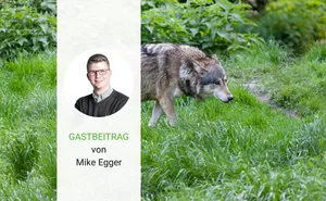Mike Egger ist Fleischfachmann und arbeitet bei der Micarna. Der SVP-Politiker vertritt den Kanton St. Gallen im Nationalrat.
