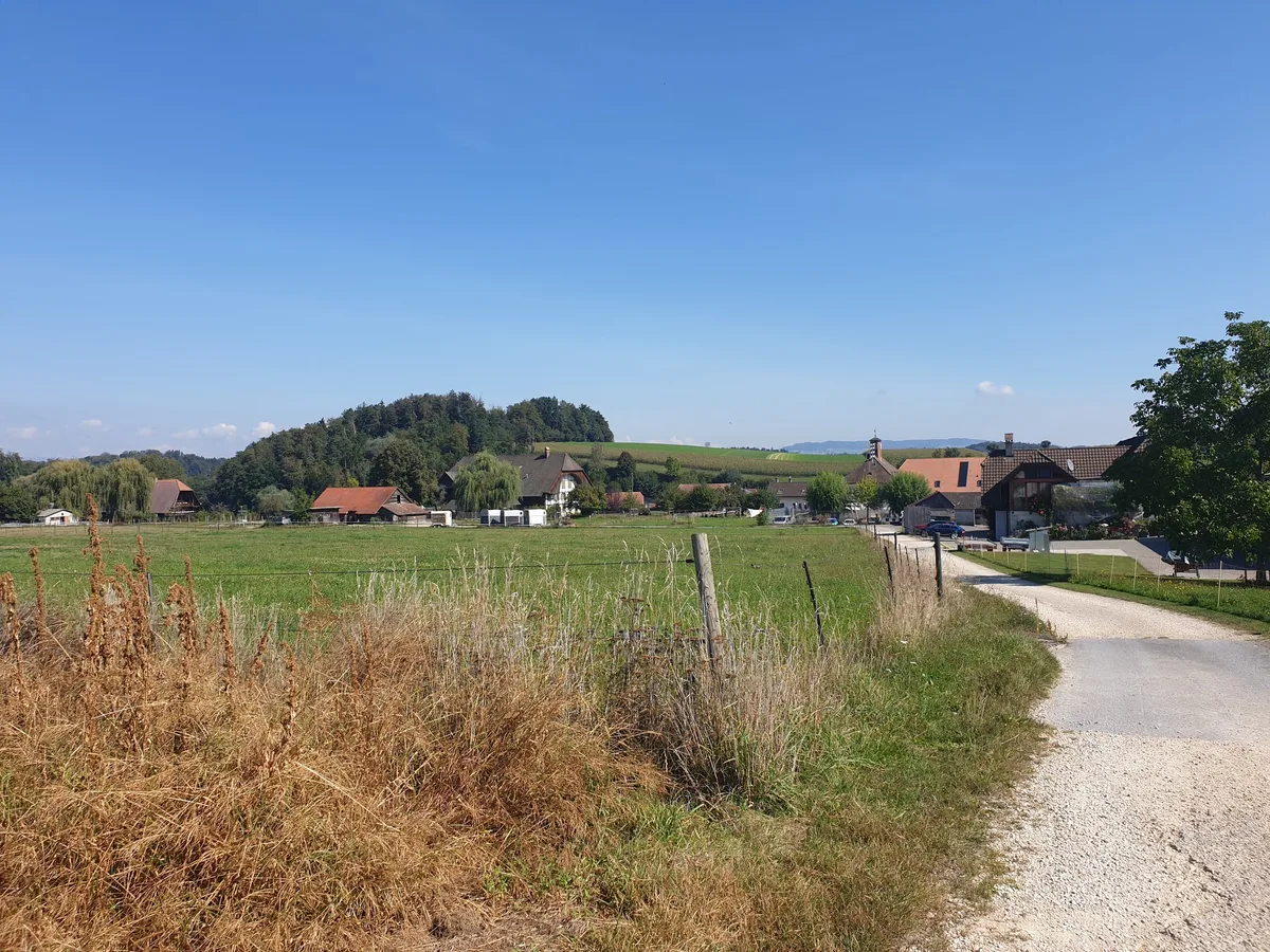 Freiburg_Ulmiz_ji Wiesen und Weiden prägen das Schweizer Kulturland