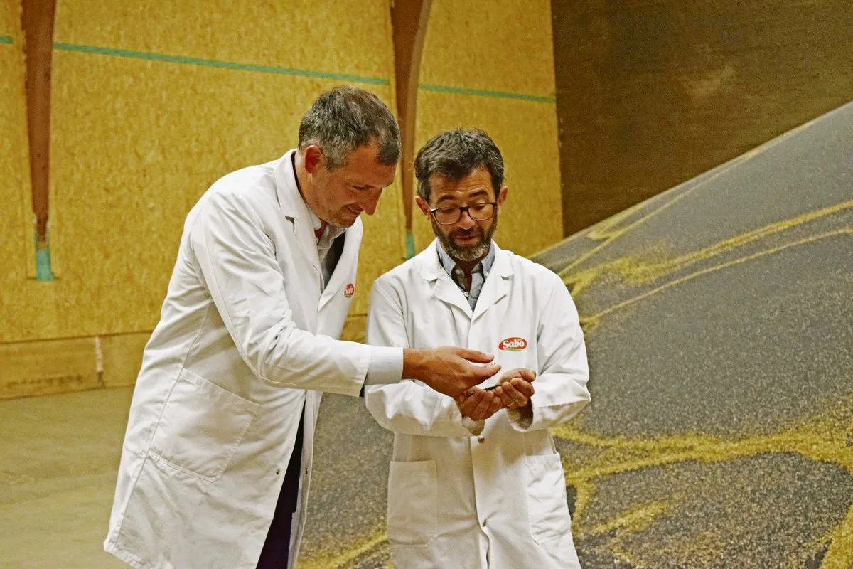 5a712f5c067ad9b69701838f2865e3cb4d46eb54 CEO Lorenzo Centonze begutachtet mit Abteilungsmanager Maurizio Taricco die Rapsernte 2020. Die beiden sind mit der Qualität der Saaten sehr zufrieden. (Bild Stefanie Giger)