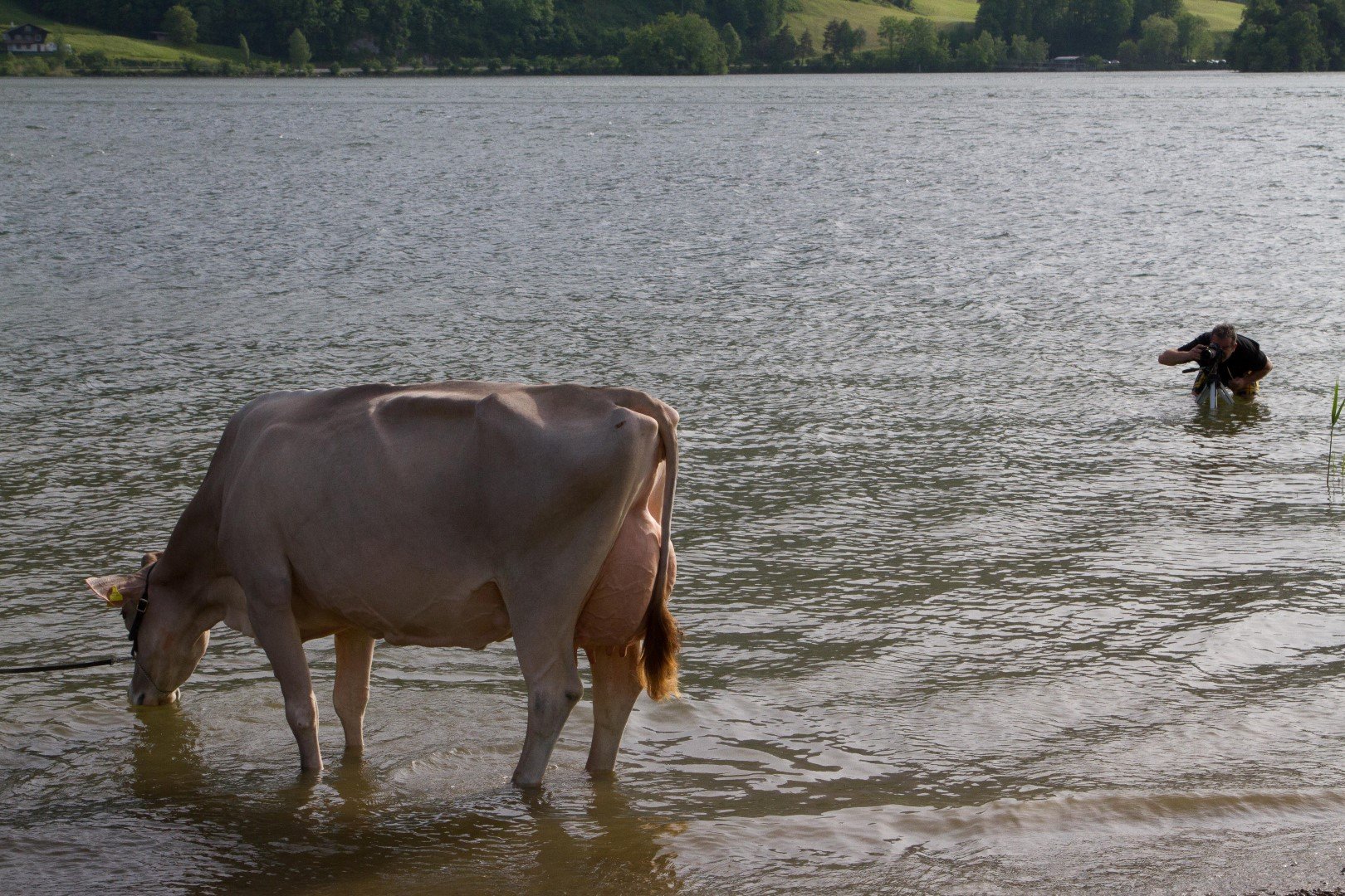 Voller Körpereinsatz: Fotoshooting mit Glenn Glena am bzw im Lauerzsersee. (Bilder Konrad Lustenberger/zVg)