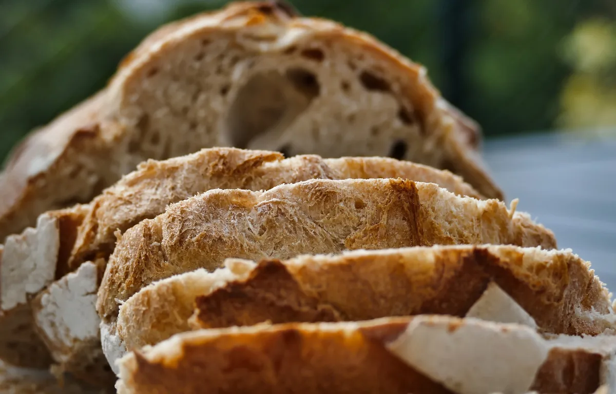 brot-geschnitten Bio-Brotgetreide wächst immer höher