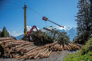Bei einer Holzernte mit zusätzlichen Kosten wie dem Einsatz eines Seilkrans, reicht der Holzerlös in der Regel nicht aus, um die Kosten zu decken.