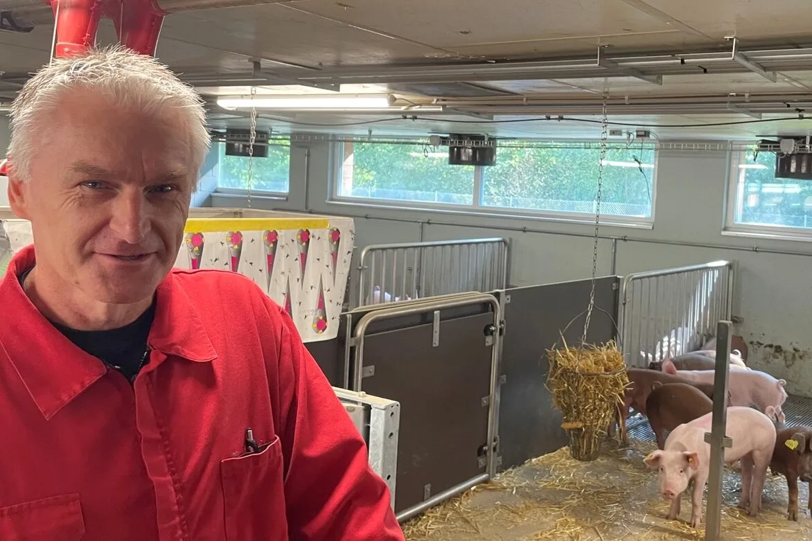 Daniel Kaufmann in Eberaufzucht Zuchtleiter Daniel Kaufmann in der zentralen Eberaufzucht in Sempach. Dort wachsen die künftigen KB-Eber verschiedener Rassen auf.