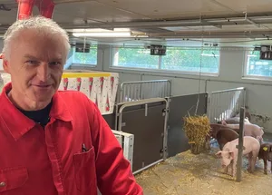 Zuchtleiter Daniel Kaufmann in der zentralen Eberaufzucht in Sempach. Dort wachsen die künftigen KB-Eber verschiedener Rassen auf.