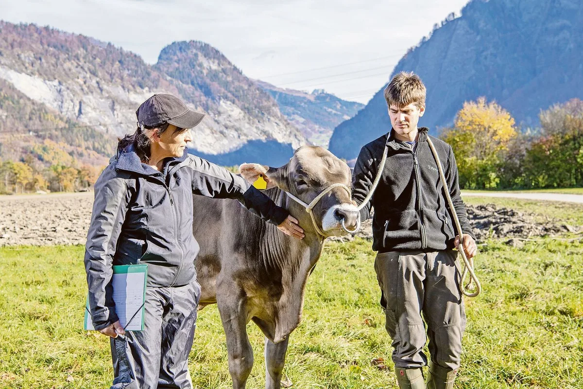 98b3627e72c3106525a0d07ac9829b1567be3c91674c69b23a546edffbb6bb47 Simbaboy Jansrud ist der erste Braunvieh-Stier des Projekts «Bio-KB-Stiere». Hier mit der FiBL-Agronomin Anet Spengler und dem Tierverantwortlichen vom Plantahof, Marco Bettini.