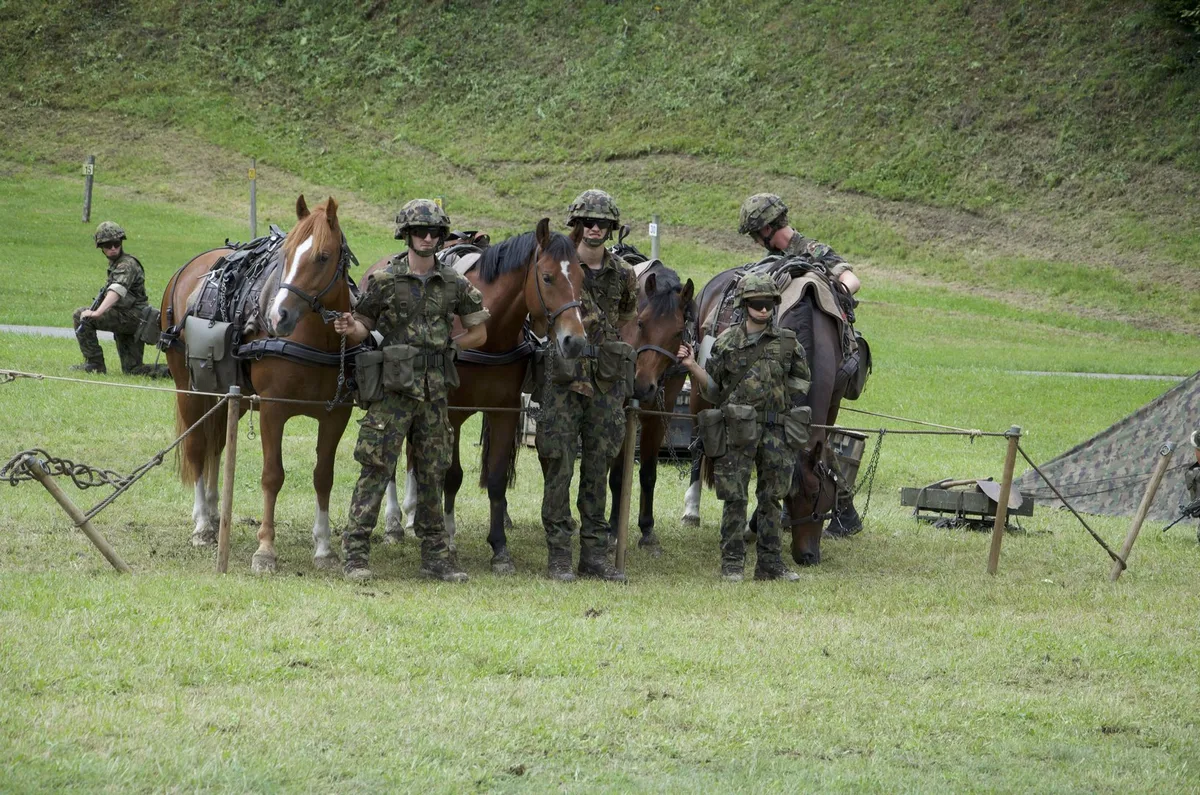 DSC_0678 Pferde im Dienste der Armee: Ein Einblick in die Trainausbildung