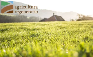 Mitglieder im Verein «Agricultura Regeneratio» nutzen die für sie passenden Methoden und Techniken für die regenerative Produktion. Dazu gehören z. B. Mob Grazing, Agroforst, reduzierte Bodenbearbeitung, Untersaaten, Zwischenfrüchte oder optimierte Weidehaltung.