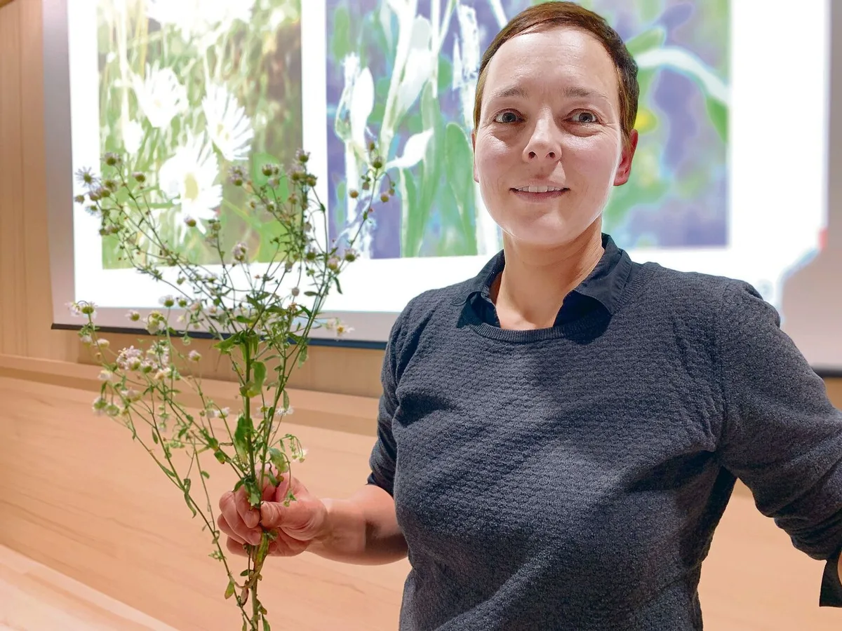Kursleiterin Cornelia Lohri zeigt mit dem einjährigen Berufkraut eine der invasiven Pflanzen, welche sich auch auf extensiven landwirtschaftlichen Flächen rasant verbreiten.
