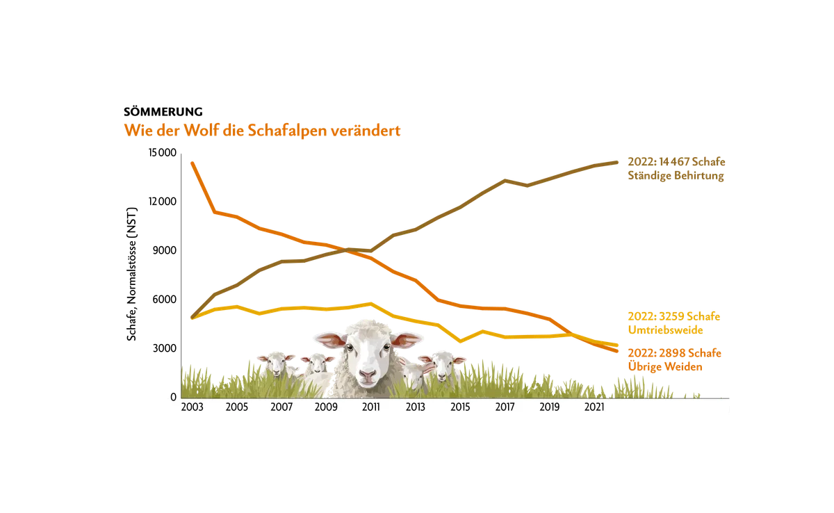 Soemmerung-Schafe-Grafik Sömmerung der Schafe nach Weidesystem (2003 bis 2022)