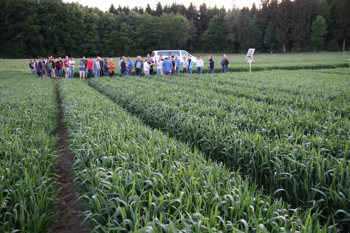 BZ_BEt3-21-Tagung-dc Neue Massnahmen für die Biodiversität: Beiträge für «Getreide in weiter Reihe»