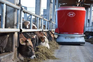 Fütterungsroboter wie von der Firma Lely sorgen für einen regelmässigen Futternachschub.
