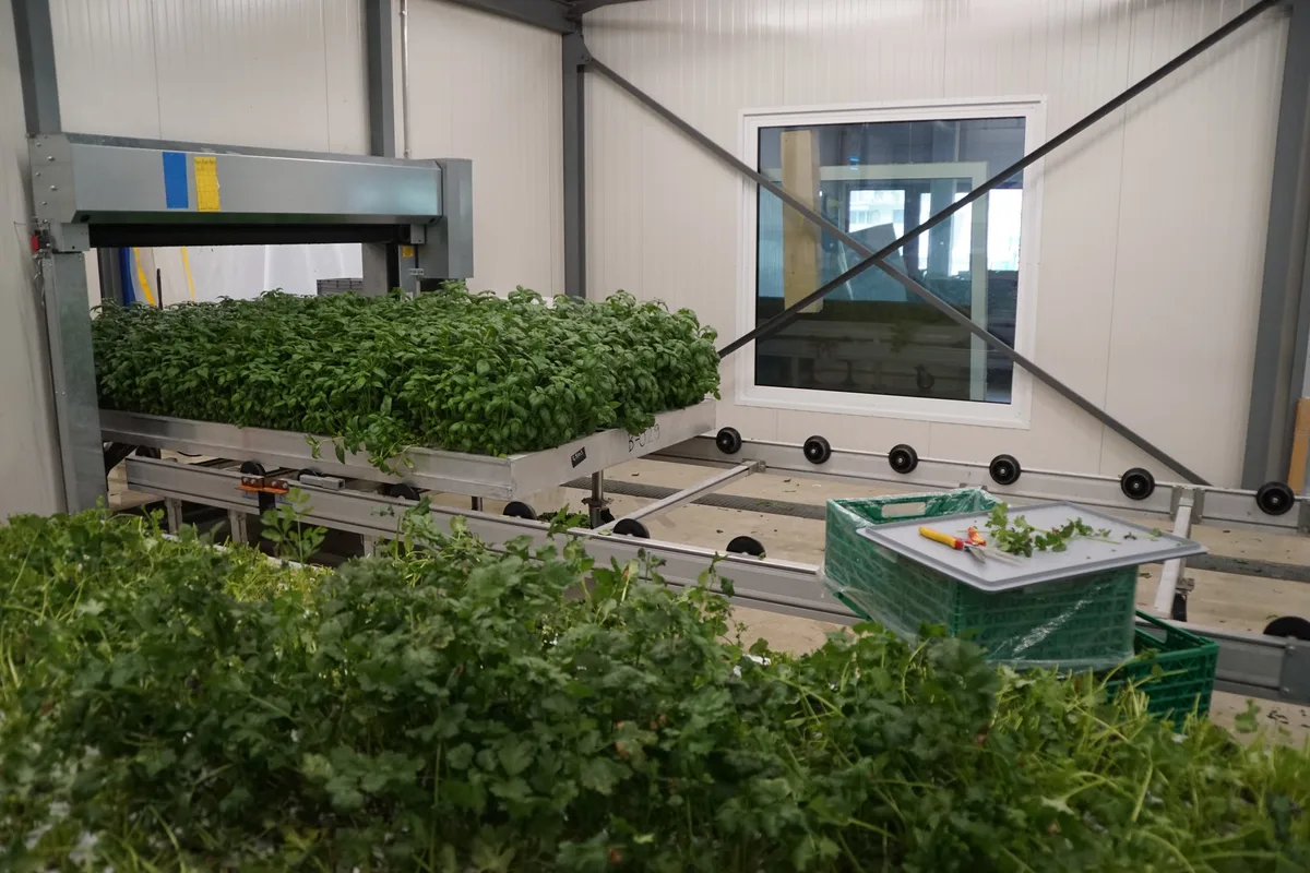 Abb-4-Rolltische-Foto-M-Go__tz Zwei Betriebe, zwei Visionen für die Landwirtschaft 2050
