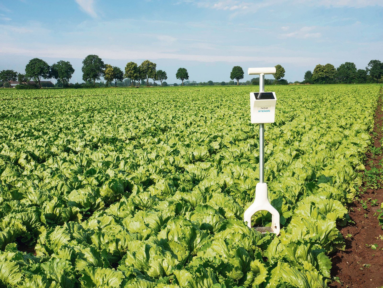 Bodenanalyse auf Knopfdruck dank digitalem Spaten – geht das?