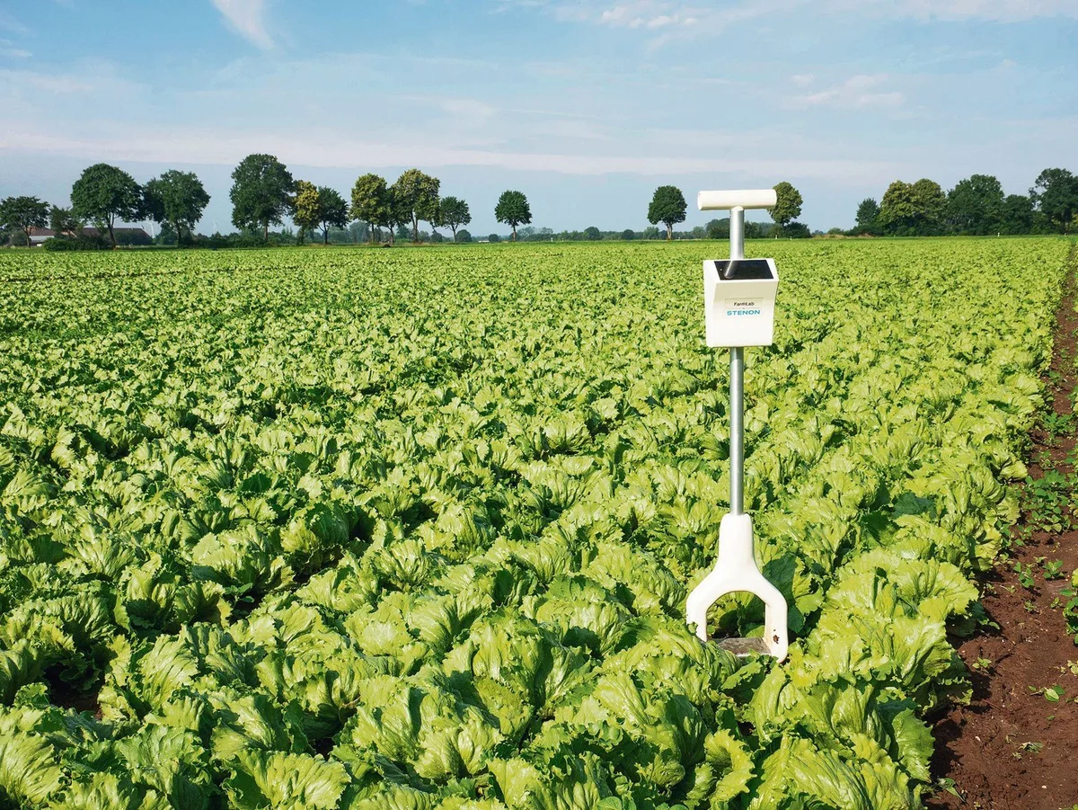 Bodenanalyse auf Knopfdruck dank digitalem Spaten – geht das?