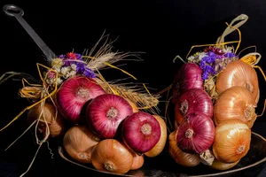 Die traditionellen Zwiebelzöpfe sind das bekannte Wahrzeichen des «Zibelemärit» in Bern.