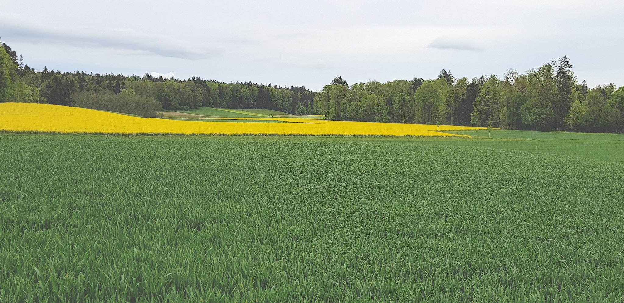 Der Kampf um die Umfahrung Aarwangen geht weiter
