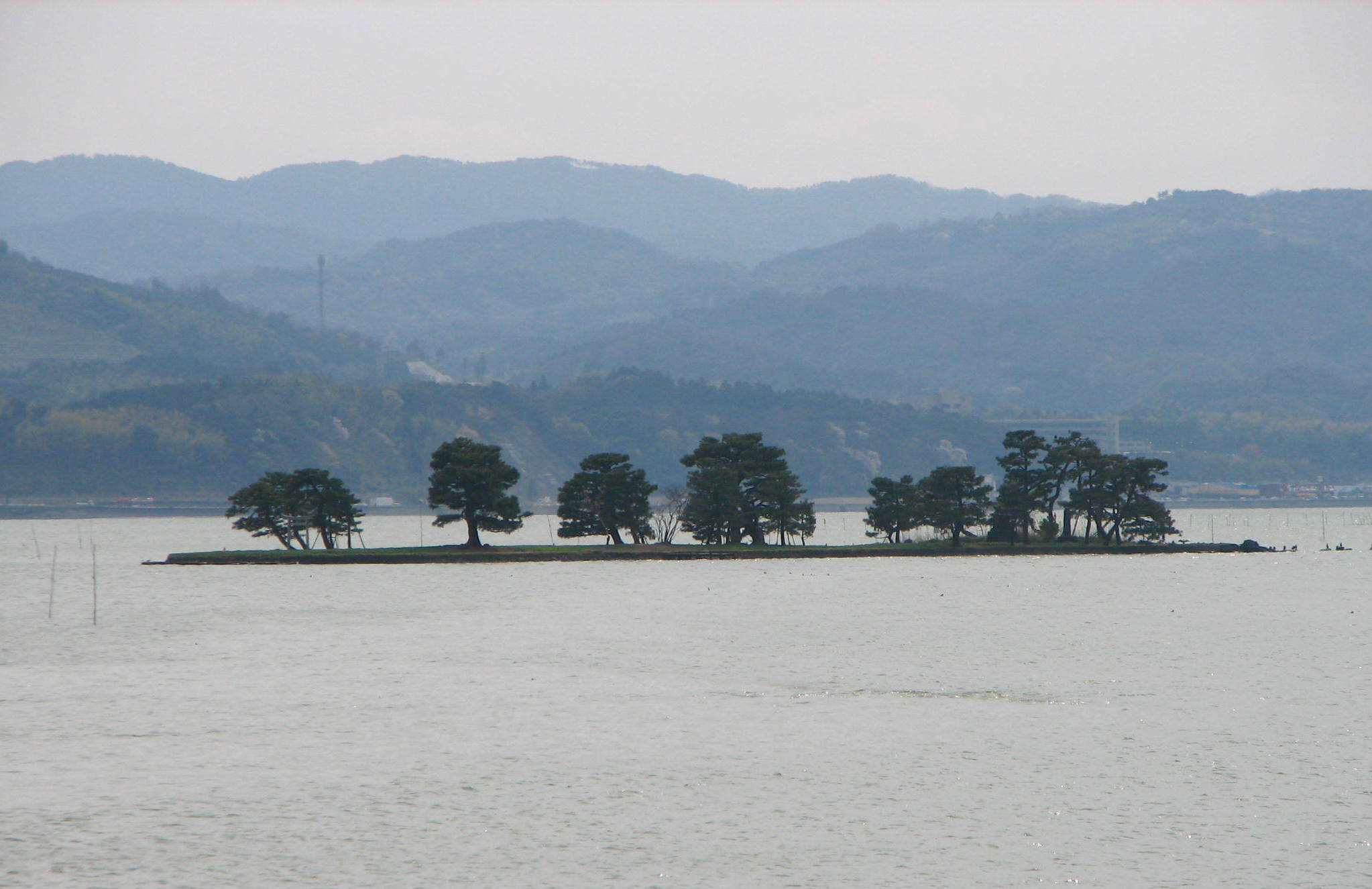 Der Shinji-See: Der Einsatz von Neonikotinoiden auf nahe gelegenen Reisfeldern liess im siebtgrössten Binnensee Japans ganze Fischpopulationen einbrechen. (Bild Bernard Gagnon/CC BY-SA 3.0)