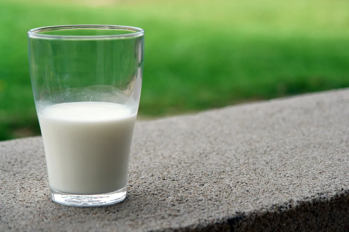 BOM verlangt Schutz der Wertschöpfungskette Milch im Falle einer Strom- und Gasmangellage
