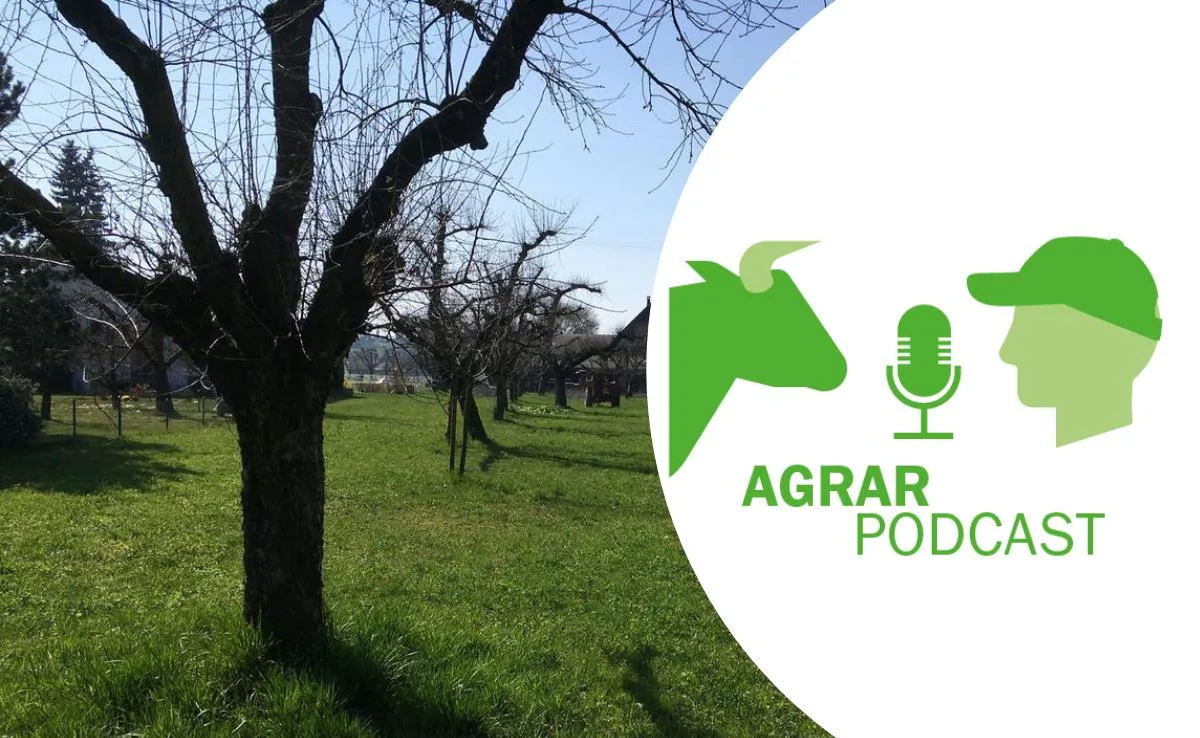Episode 12 – Massenmord an Bäumen, Bürolisten auf der Wiese und Agrarpolitik in Europa