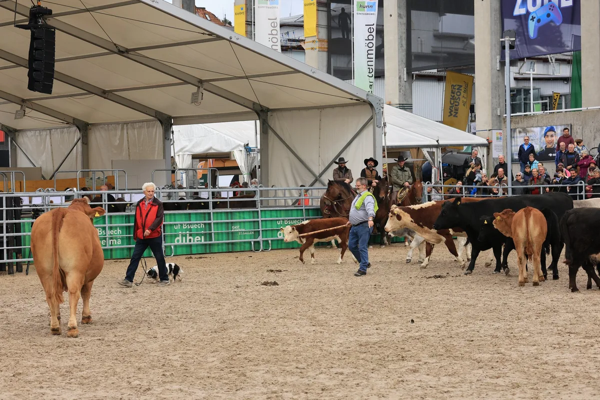 IMG_1428 «Da muss der Hund die Schnauze halten, sonst kommt er drunter»