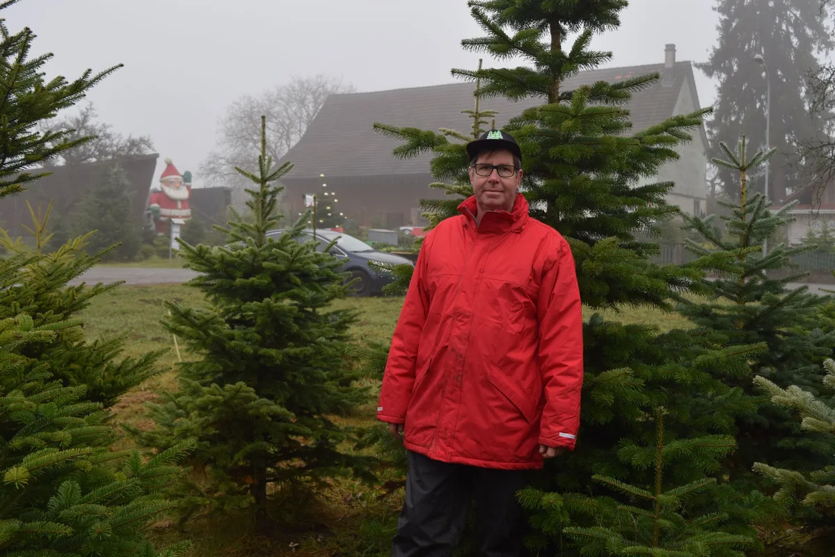 beat_kressibucher Leih-Weihnachtsbäume werden immer beliebter