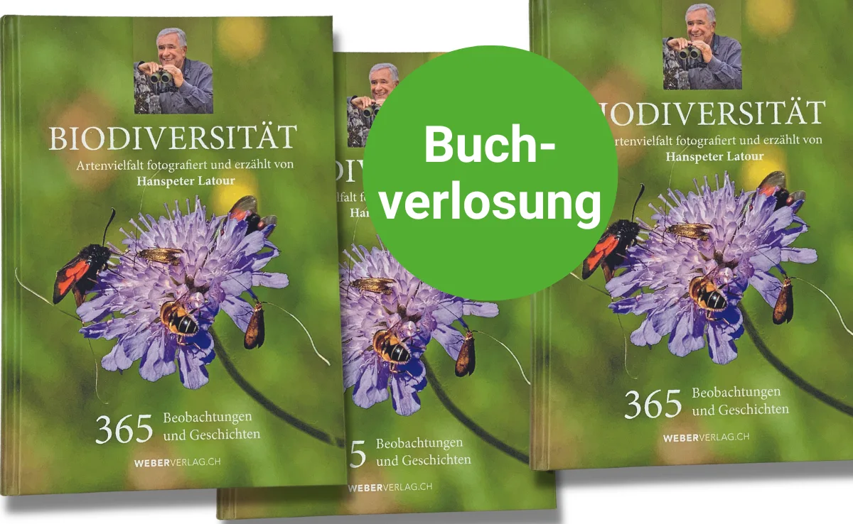 biodiversitaet-latour-buch Mit einem Natur-Tagebuch durch das Jahr: «Biodiversität» von Hanspeter Latour