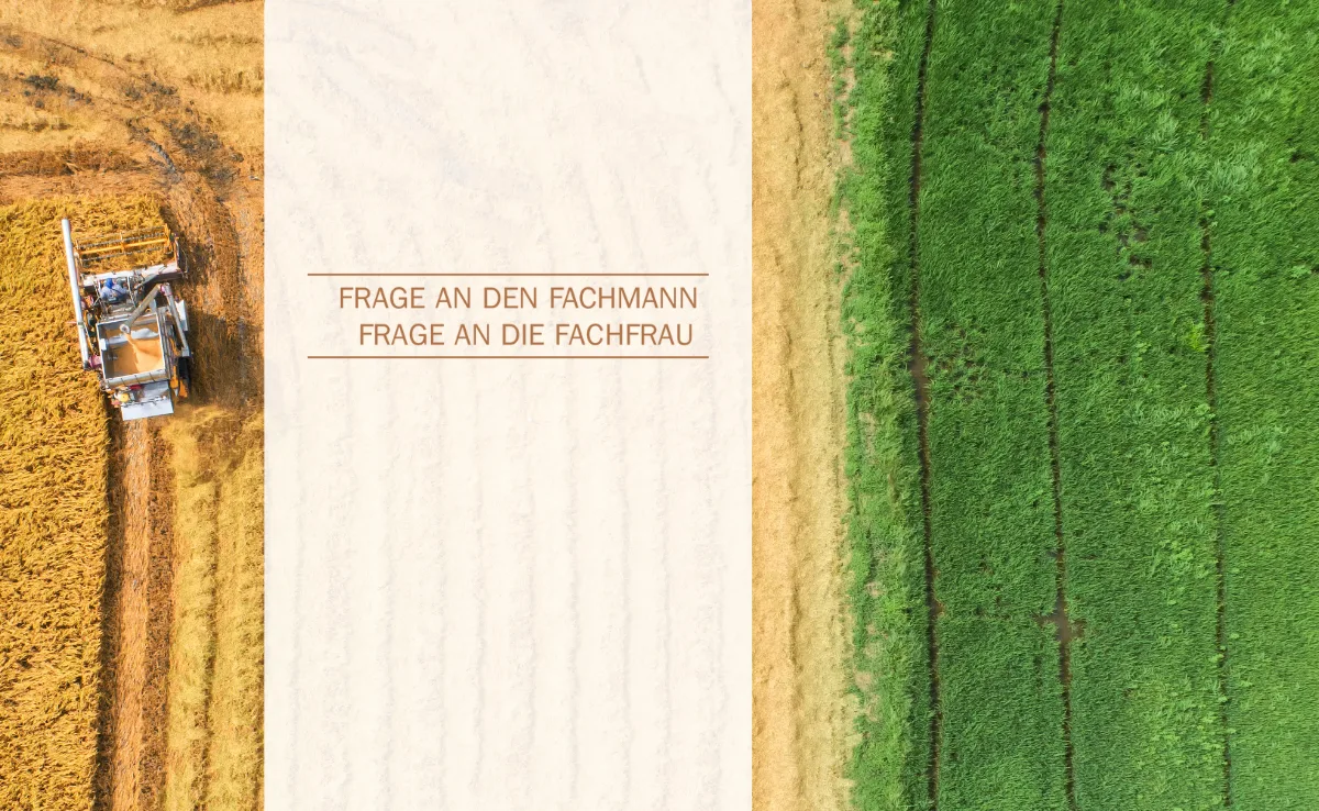 Frage an den Fachmann / die Fachfrau