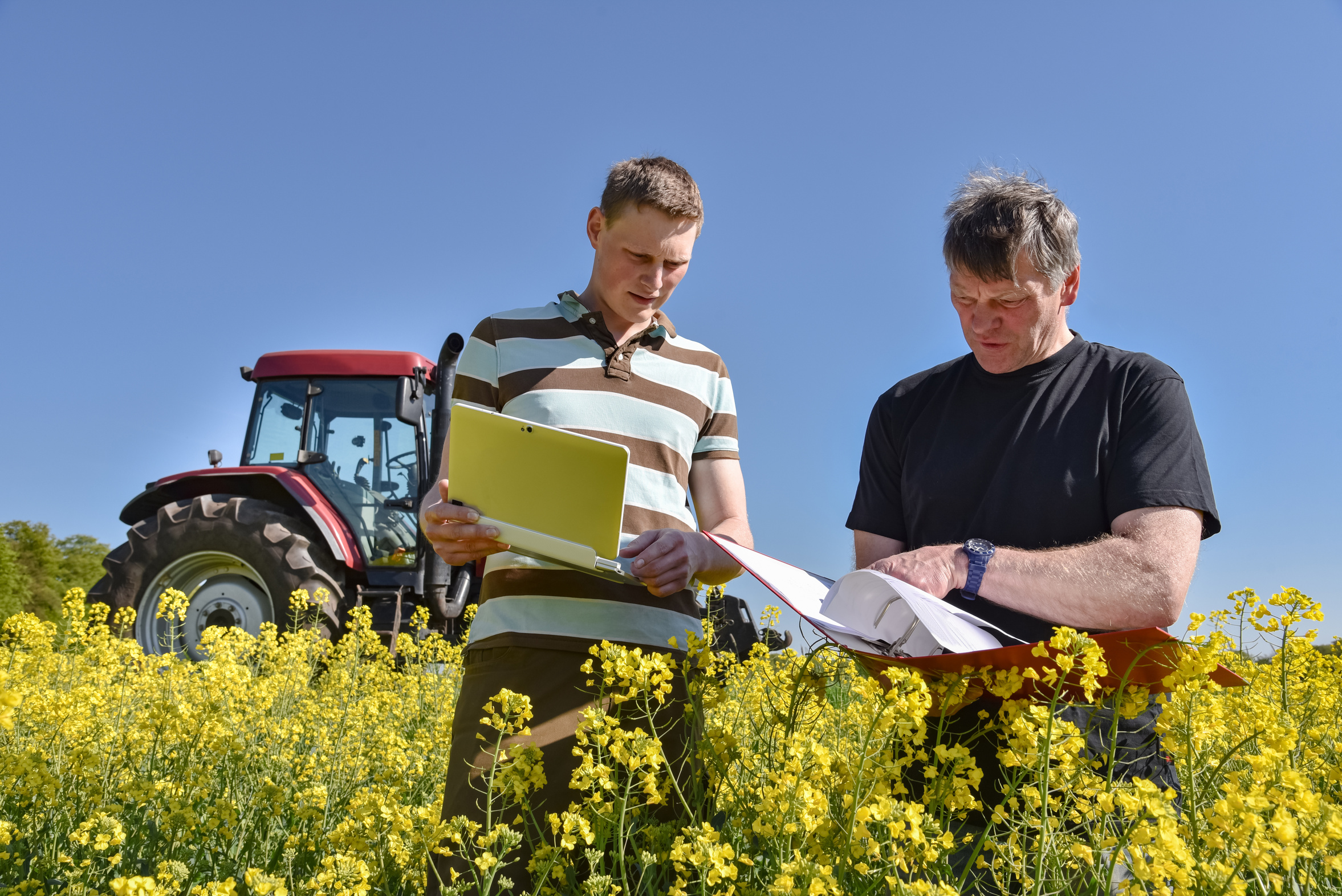 Ackerbau - FlÃ¤chenprÃ¤mie: Fachberater und Landwirt stehen im Rapsfeld und analysieren die FlÃ¤chendaten, die sie in einem Ordner dabei haben.