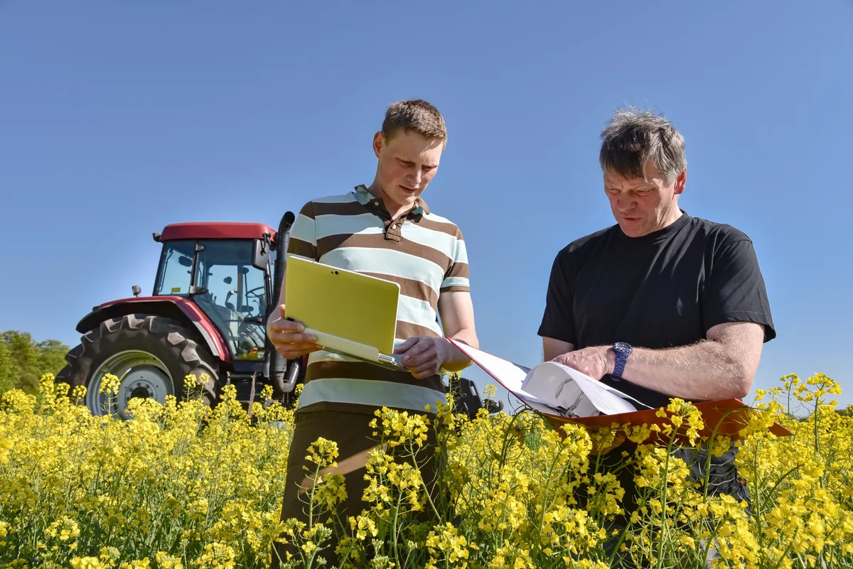 Beratung Ackerbau - Flächenprämie: Fachberater und Landwirt stehen im Rapsfeld und analysieren die Flächendaten, die sie in einem Ordner dabei haben.